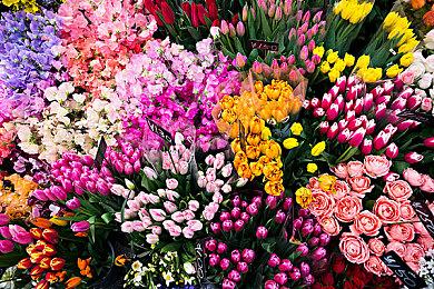 无语！Xbox直播《忍者龙剑传2》发售预告时 和谐了性感女角色